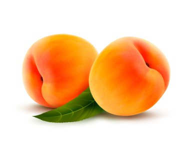 Rpe peach isolated on white. Vector illustration clipart