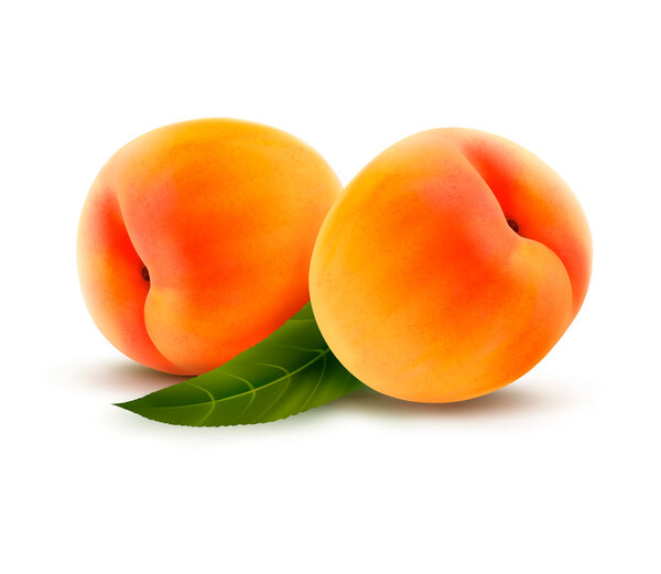 Rpe peach isolated on white. Vector illustration
