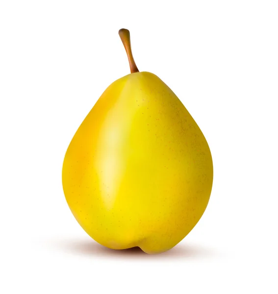 Rpe pear isolated on white. Vector illustration — Stock Vector