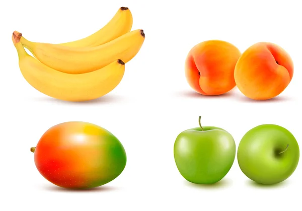 Group of fruit. Vector — Stock Vector