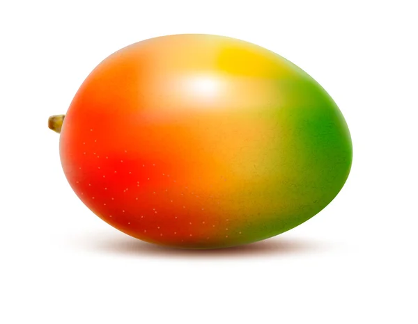 Mango isolated on white. Vector illustration — Stock Vector