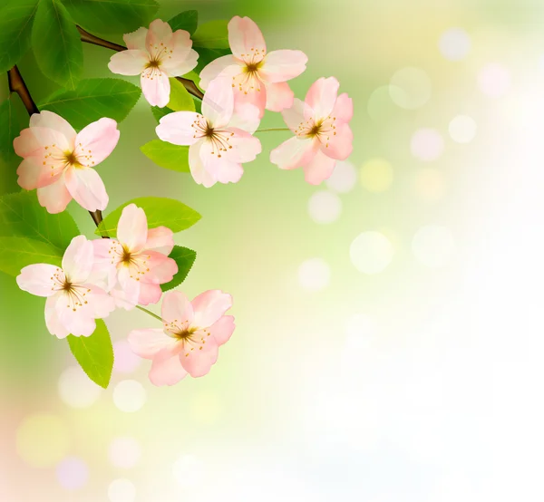 Fundo de primavera com brunch árvore florescente com flor de primavera — Vetor de Stock