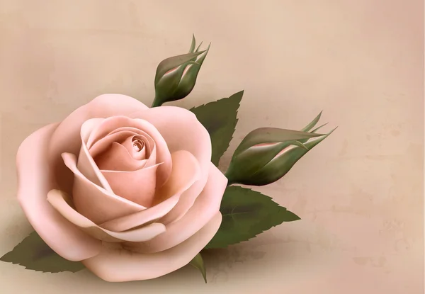 Retro-Hintergrund mit schöner rosa Rose mit Knospen. Vektor-Illusion — Stockvektor