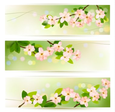 Three nature banners with blossoming tree brunch with spring flo clipart