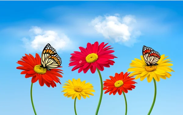 Nature spring gerber flowers with butterflies Vector illustrati — Stock Vector