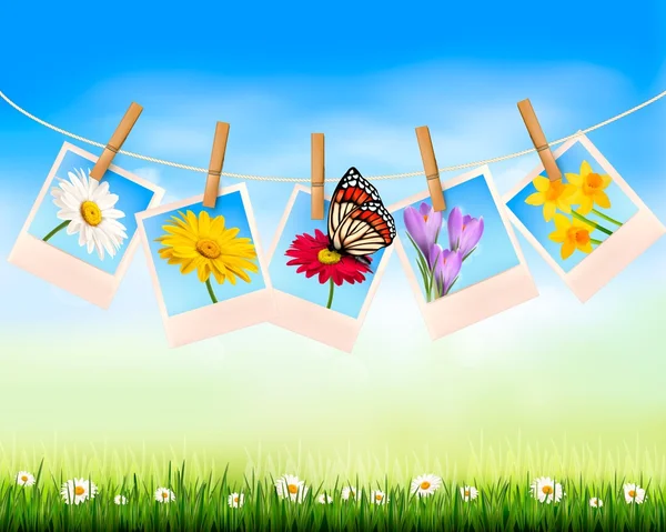 Natureza fundo com foto com flores e borboleta. Vetor — Vetor de Stock