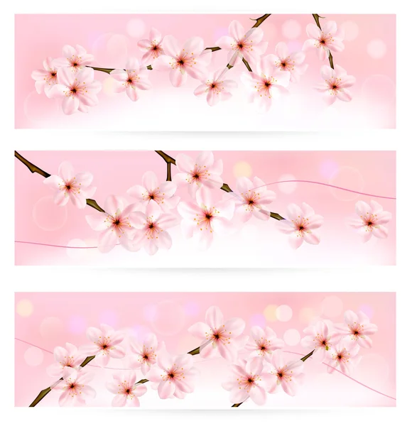 Üç afiş yeni gelişen ağaç brunch ile bahar çiçekleri ile bahar. vektör — Stok Vektör