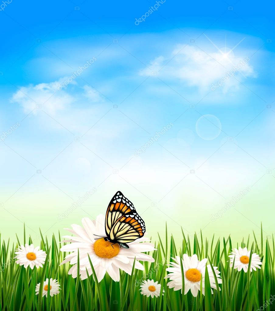 Nature background with green grass and flowers witn butterfly. V