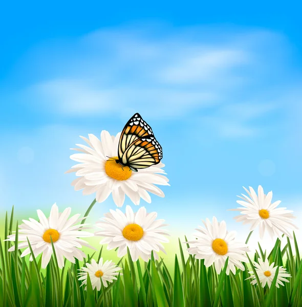 Nature background with green grass and butterfly — Stock Vector