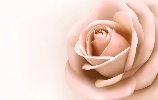 Achtergrond met mooie roze roos. vector — Stockvector