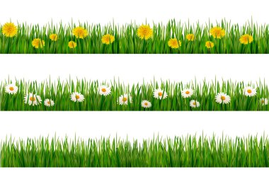 Üç doğa arka dandelions ve Kürsü ile yeşil çimen