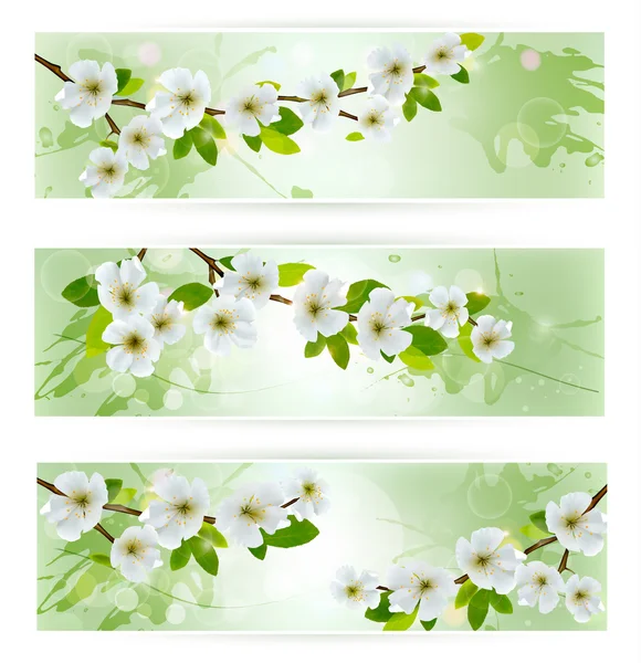 Çiçek açması ile üç doğa afiş ağaç dalları. vektör illus — Stok Vektör