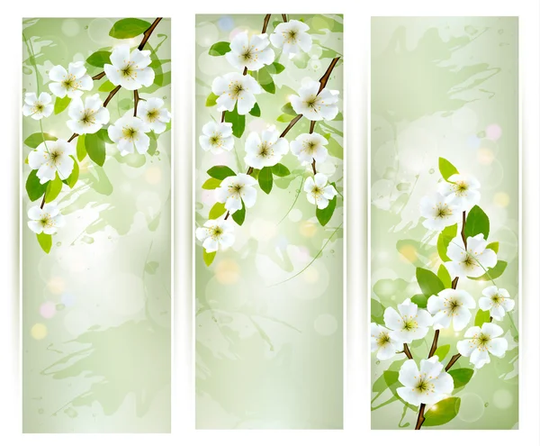 Three banners with blossoming tree branches. Vector illustration — Stock Vector