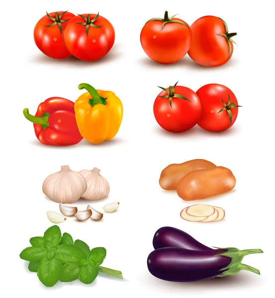 El gran grupo colorido de verduras. Vector . — Vector de stock