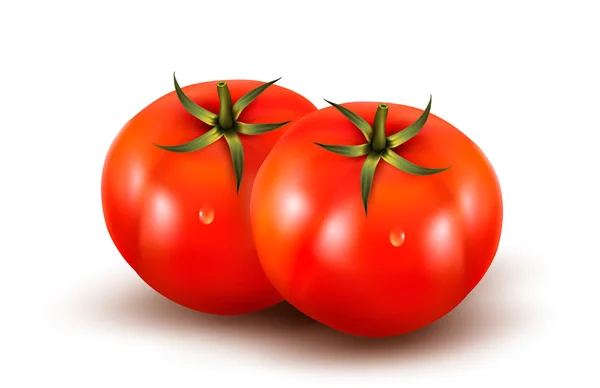 Tomat diisolasi pada latar belakang putih. Vektor realistik-foto - Stok Vektor