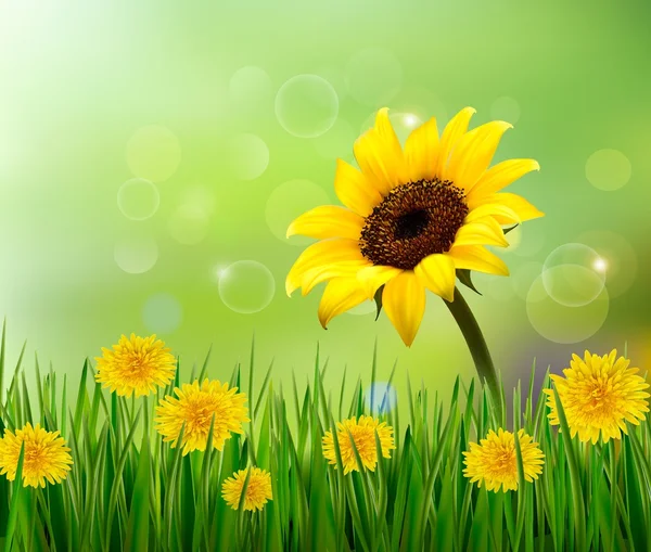 Summer background with yellow flowers and grass. Vector. — Stock Vector