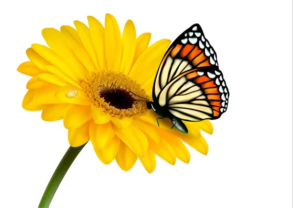 Nature summer yellow flower with butterfly. Vector illustration. — Stock Vector