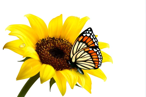 Nature tournesol d'été avec papillon. Illustration vectorielle . — Image vectorielle