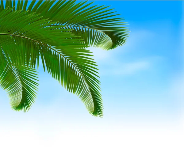 Palm leaves on blue background. Summer holidays concept backgrou — Stock Vector