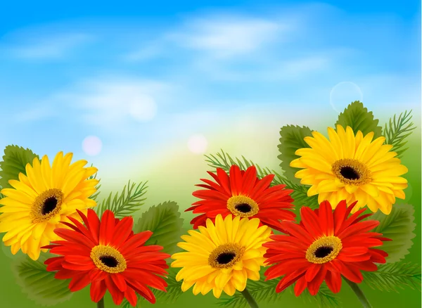 Natura tło z pięknymi kwiatami i błękitne niebo. — Wektor stockowy