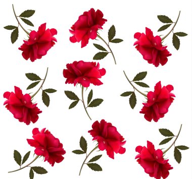 Kırmızı güzel gül deseni tatil. vektör