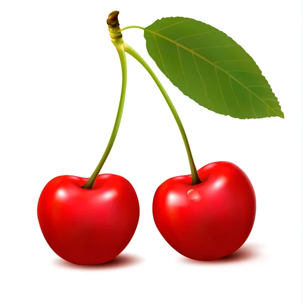 Two red cherry berries with leaf. Vector. — Stock Vector