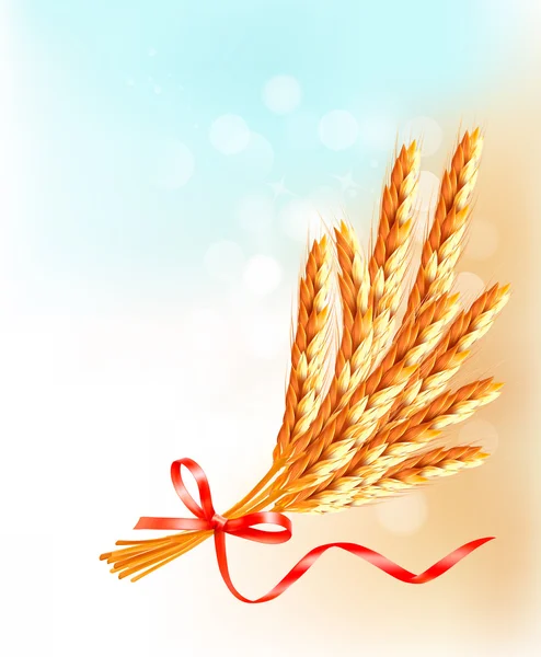 Ears of wheat with red ribbon. Vector illustration. — Stock Vector