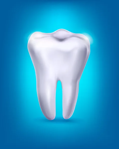 White tooth on a blue background. Vector. — Stock Vector