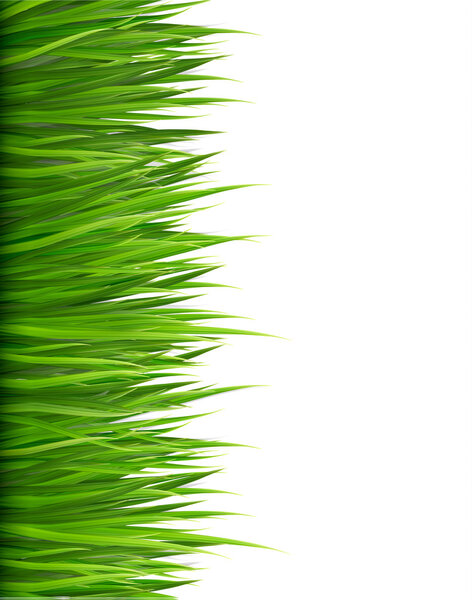 Природный фон с зеленой травой. Вектор.