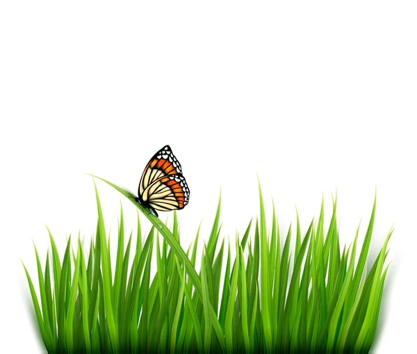 Natur bakgrund med grönt gräs och en fjäril. Vektor. — Stock vektor