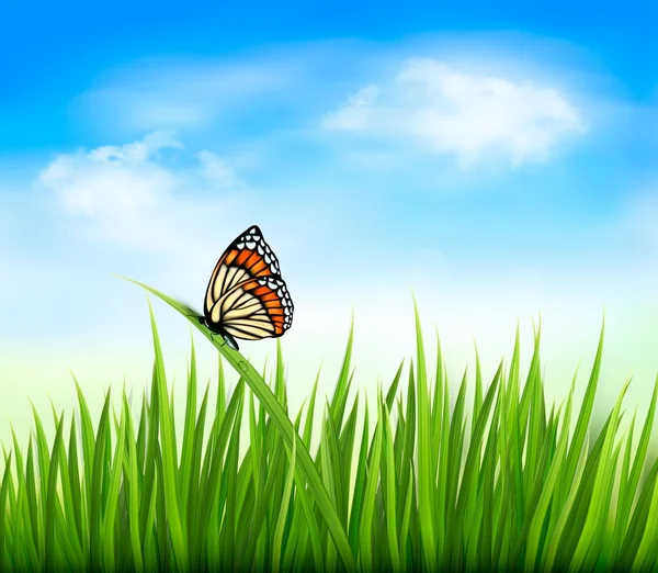 Nature background with green grass and a butterfly. Vector. — Stock Vector