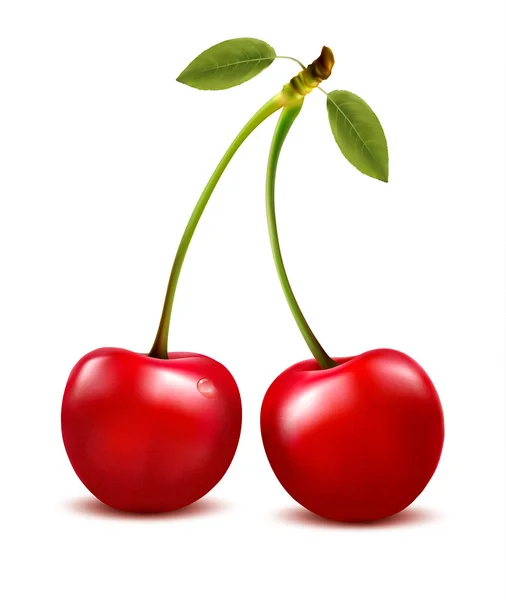Dwie wiśniowe jagody z liściem. Wektor. — Wektor stockowy