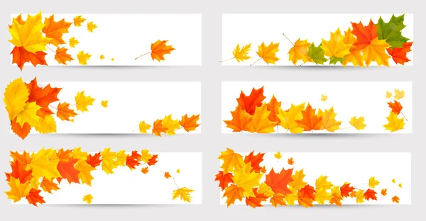 Set of autumn banners with colorful leaves. Back to school. Vect — Stock Vector