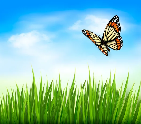 Fondo de la naturaleza con hierba verde y mariposa y cielo azul. V. — Vector de stock