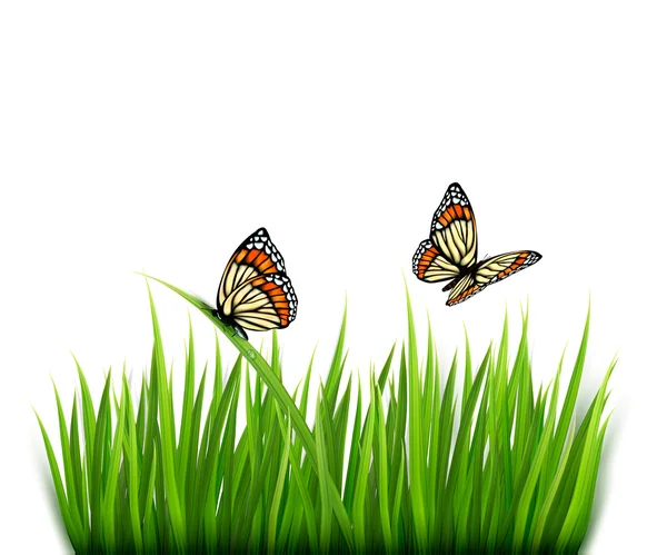 Natureza fundo com grama verde e borboletas Vector. — Vetor de Stock