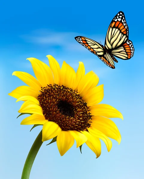 Fond naturel avec tournesol et papillon. Illustrat vectoriel — Image vectorielle