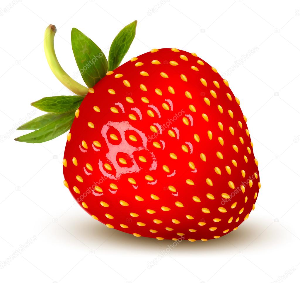 Strawberry. Vector.