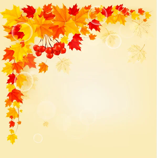 Fundo de outono com folhas coloridas. De volta à escola. Vetor i — Vetor de Stock