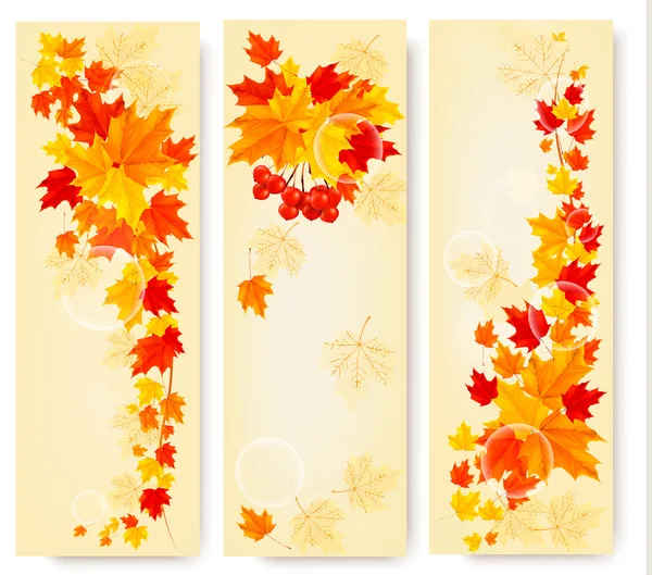 三个秋天背景与多彩的树叶。回学校。v — 图库矢量图片