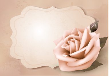 Geçmişe dönük tebrik kartı ve pembe gül. Vektör illüstrasyonu.