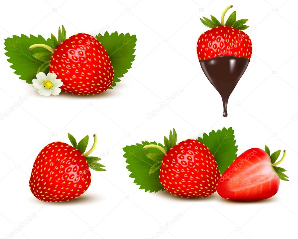 Set of ripe sweet strawberry and flower with leaves and chocolat
