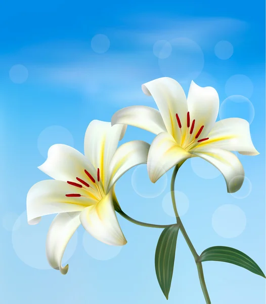 Holiday background with two white lilies. Vector. — Stock Vector