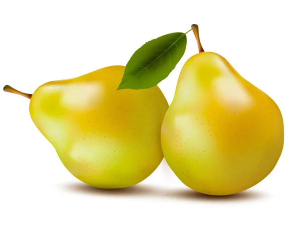 新鮮な梨が白で隔離されます。ベクトル — ストックベクタ