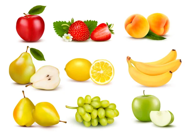 Grote groep van verschillende vruchten. Vector. — Stockvector
