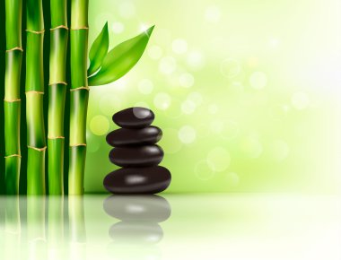 bilgi grafik öğeleri kümesi. vektör çizim