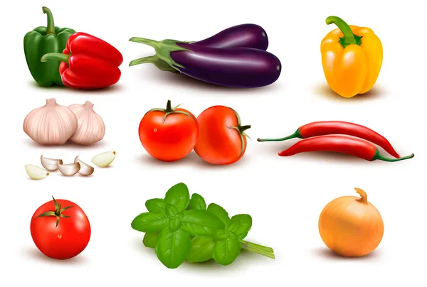 Le grand groupe coloré de légumes — Image vectorielle