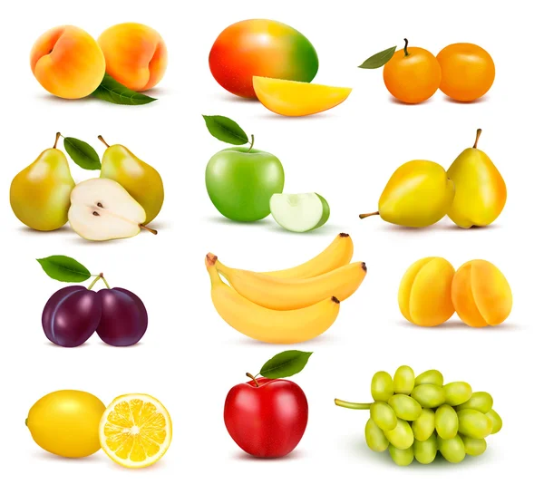 Big group of different fruit. Vector. — Stock Vector