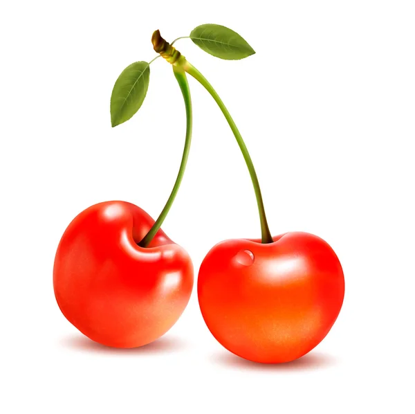 Ripe red cherry berries with leaves. Vector. — Stock Vector