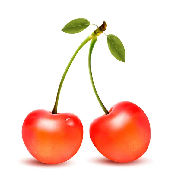 Ripe red cherry berries with leaves. Vector. — Stock Vector