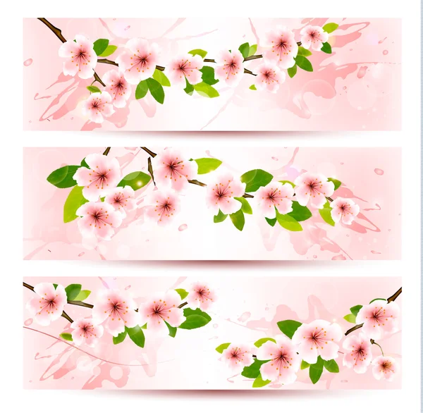 Trois bannières printanières avec brunch sakura fleuri avec printemps f — Image vectorielle